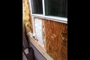 dry rot repair