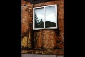 dry rot repair around window