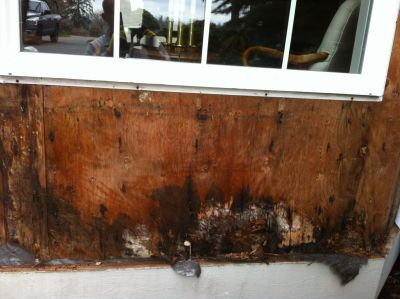 dry rot repair